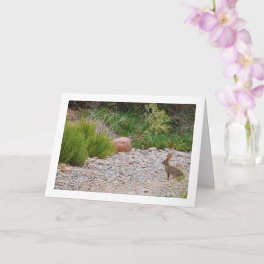 Haas in Canyon Kaart (Orchidee)