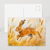 Haas in een korenveld waterverf schilderij briefkaart (Voorkant / Achterkant)