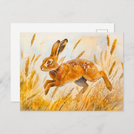 Haas in een korenveld waterverf schilderij briefkaart (Voorkant / Achterkant)