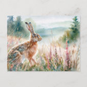 Haas in Meadow Waterverf Art Briefkaart (Voorkant)