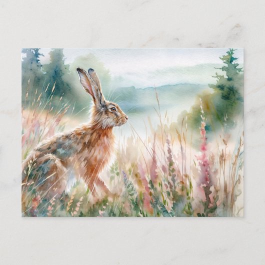 Haas in Meadow Waterverf Art Briefkaart (Voorkant)