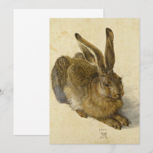 Haas van Albrecht Durer Bedankkaart (Voorkant / Achterkant)