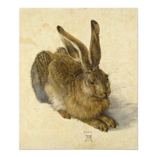 Haas van Albrecht Durer Foto Afdruk (Voorkant)