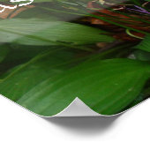 Haast maakt afvalefficiëntie verstandig poster (Hoek)