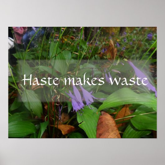 Haast maakt afvalefficiëntie verstandig poster (Voorkant)