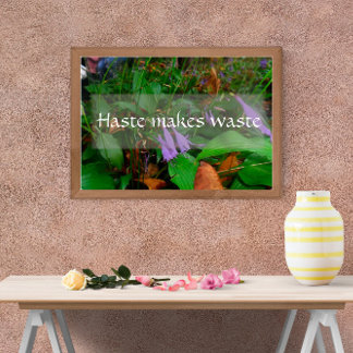 Haast maakt afvalefficiëntie verstandig poster