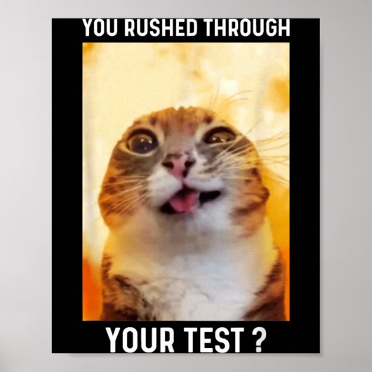 Haastte Je Door Test Grappige Test Dag Leraar Kat Poster (Voorkant)