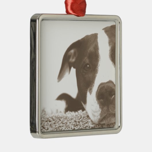 haat de akte niet de rasvriendelijke stampsepia metalen ornament (Rechts)