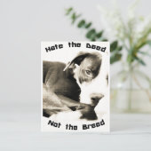 haat de daad niet de stampil van het ras briefkaart (Staand voorkant)