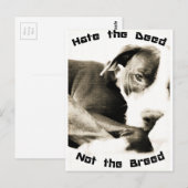 haat de daad niet het ras pitbull briefkaart (Voorkant / Achterkant)