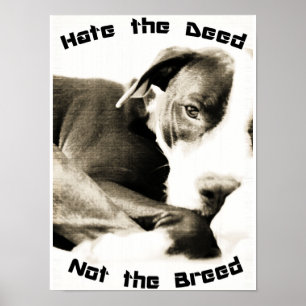 Haat het ras, niet de daad pitbull poster print