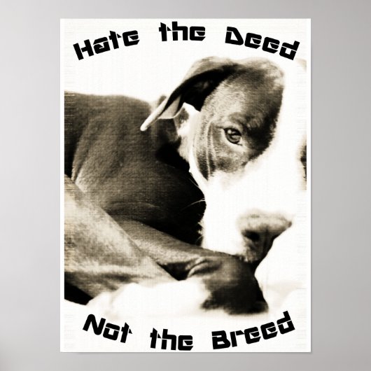 Haat het ras, niet de daad pitbull poster print (Voorkant)