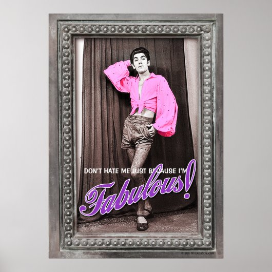 Haat me niet alleen omdat ik geweldig ben [poster] poster (Voorkant)