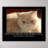 Haat me niet...Cat Artwork grappig Poster (Voorkant)