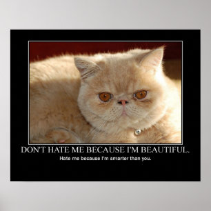 Haat me niet...Cat Artwork grappig Poster