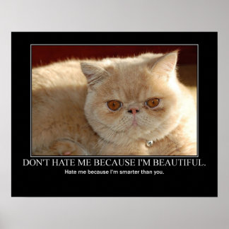 Haat me niet...Cat Artwork grappig Poster