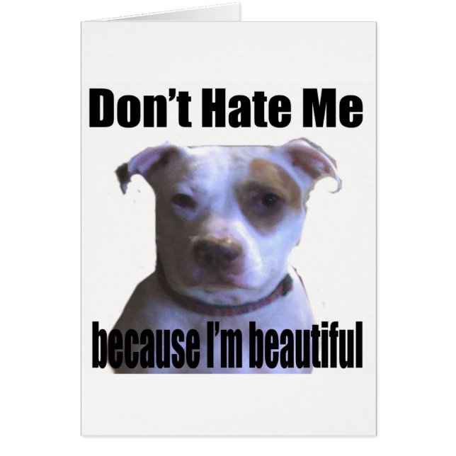 Haat me niet omdat ik een mooie Pit Bull ben (Voorkant)