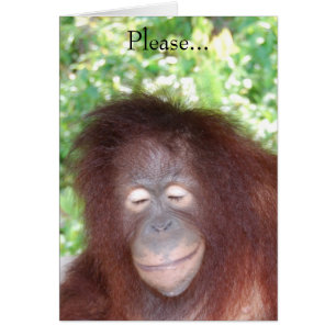 Haat me niet omdat ik mooi ben