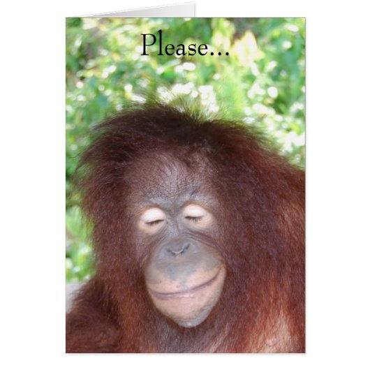 Haat me niet omdat ik mooi ben (Voorkant)