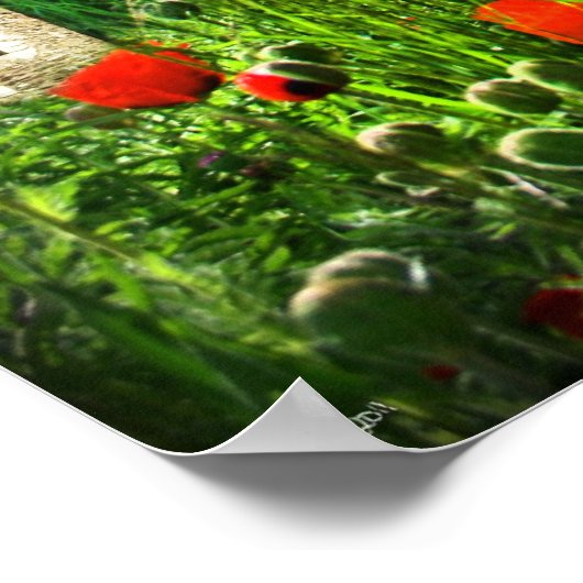 Habakkuk's Watchtower Poster (Hoek)