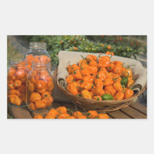 Habanero Garden Rechthoekige Sticker