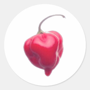 habanero ronde sticker