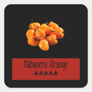 Habanero Sinaasappel Vierkante Sticker