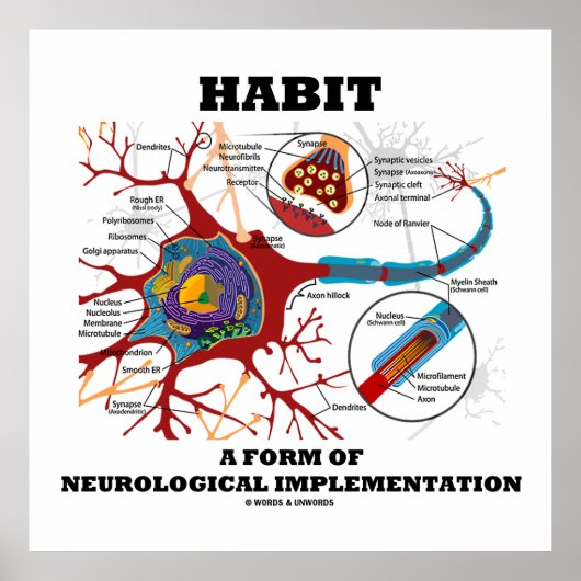Habit een vorm van neurologische implementatie Neu Poster (Voorkant)