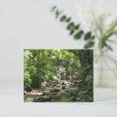 Habitation Céron 1 - Martinique, F.W.I. Briefkaart (Staand voorkant)