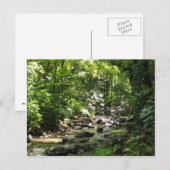 Habitation Céron 1 - Martinique, F.W.I. Briefkaart (Voorkant / Achterkant)