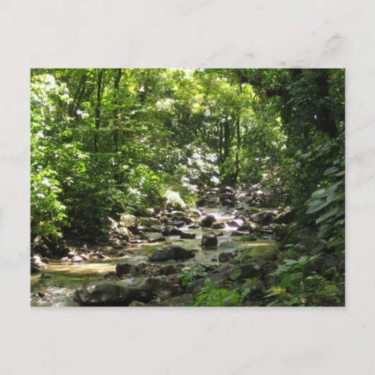 Habitation Céron 1 - Martinique, F.W.I. Briefkaart (Voorkant)