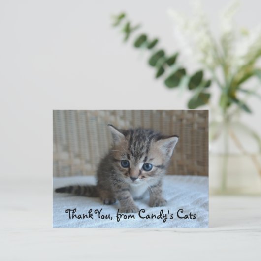 Habu dankt u Briefkaarten (Staand voorkant)