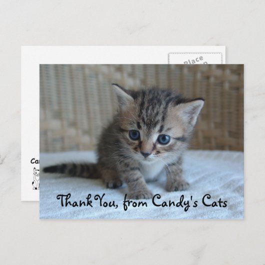 Habu dankt u Briefkaarten (Voorkant / Achterkant)