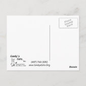 Habu dankt u Briefkaarten (Achterkant)