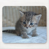 Habu's Mousepad Muismat (Voorkant)