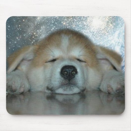 Hachiko Muismat (Voorkant)