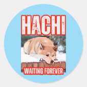 HACHIKO RONDE STICKER (Voorkant)
