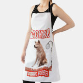 HACHIKO SCHORT (Insitu)