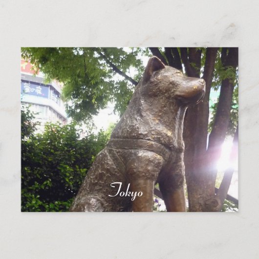 hachiko shibuya briefkaart (Voorkant)
