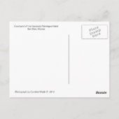 Hacienda Flamingos San Blas Mexico-Briefkaart Briefkaart (Achterkant)