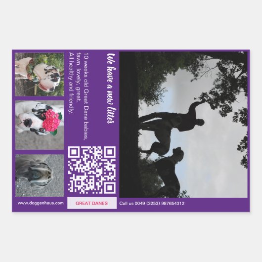 Hack the wrapper: Puppy verkoopt promotionele arti Inpakpapier Vel (Voorkant)