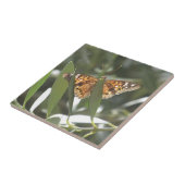 Hackberry Emperor Butterfly Tegeltje (Zijkant)