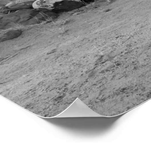 Hackberry General Store Poster (Hoek)