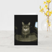 Hacker Cat Meme Funny Computer Cat Kitten Gamer Ca Kaart (Gele Bloem)