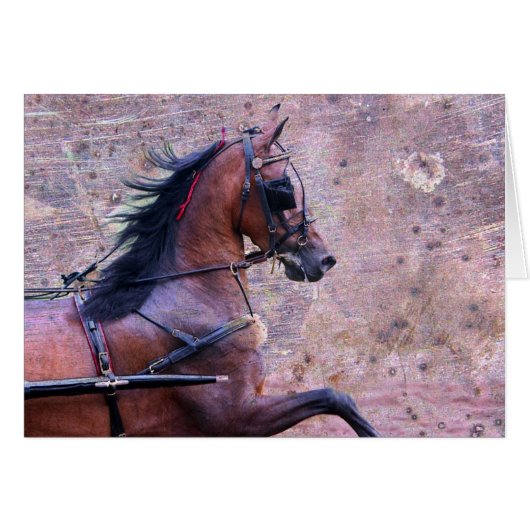 Hackney Grunge (Voorkant Horizontaal)