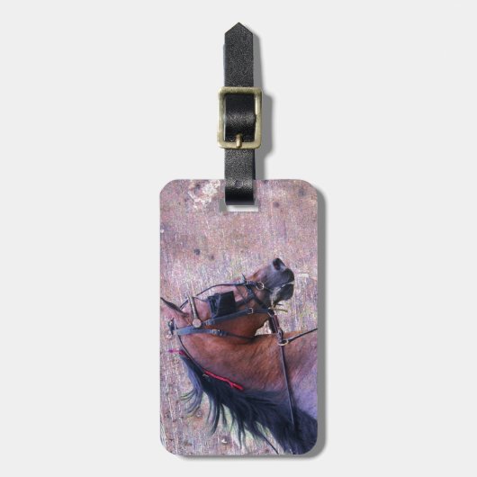 Hackney Grunge Bagagelabel (Voorkant verticaal)