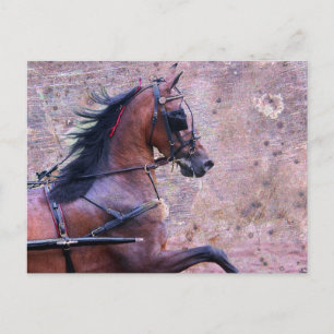 Hackney Grunge Briefkaart