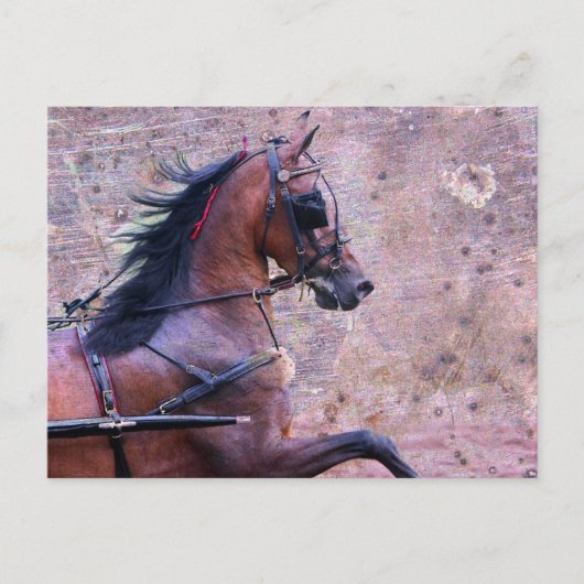 Hackney Grunge Briefkaart (Voorkant)