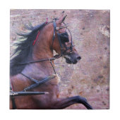 Hackney Grunge Tegeltje (Voorkant)