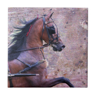 Hackney Grunge Tegeltje